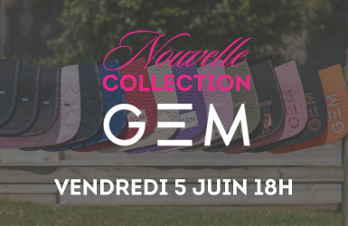 Nouveautés GEM